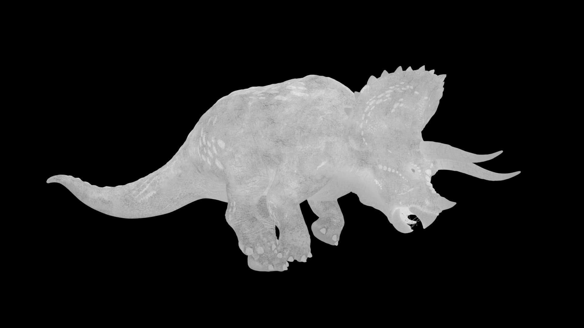 Triceratops, specular pass